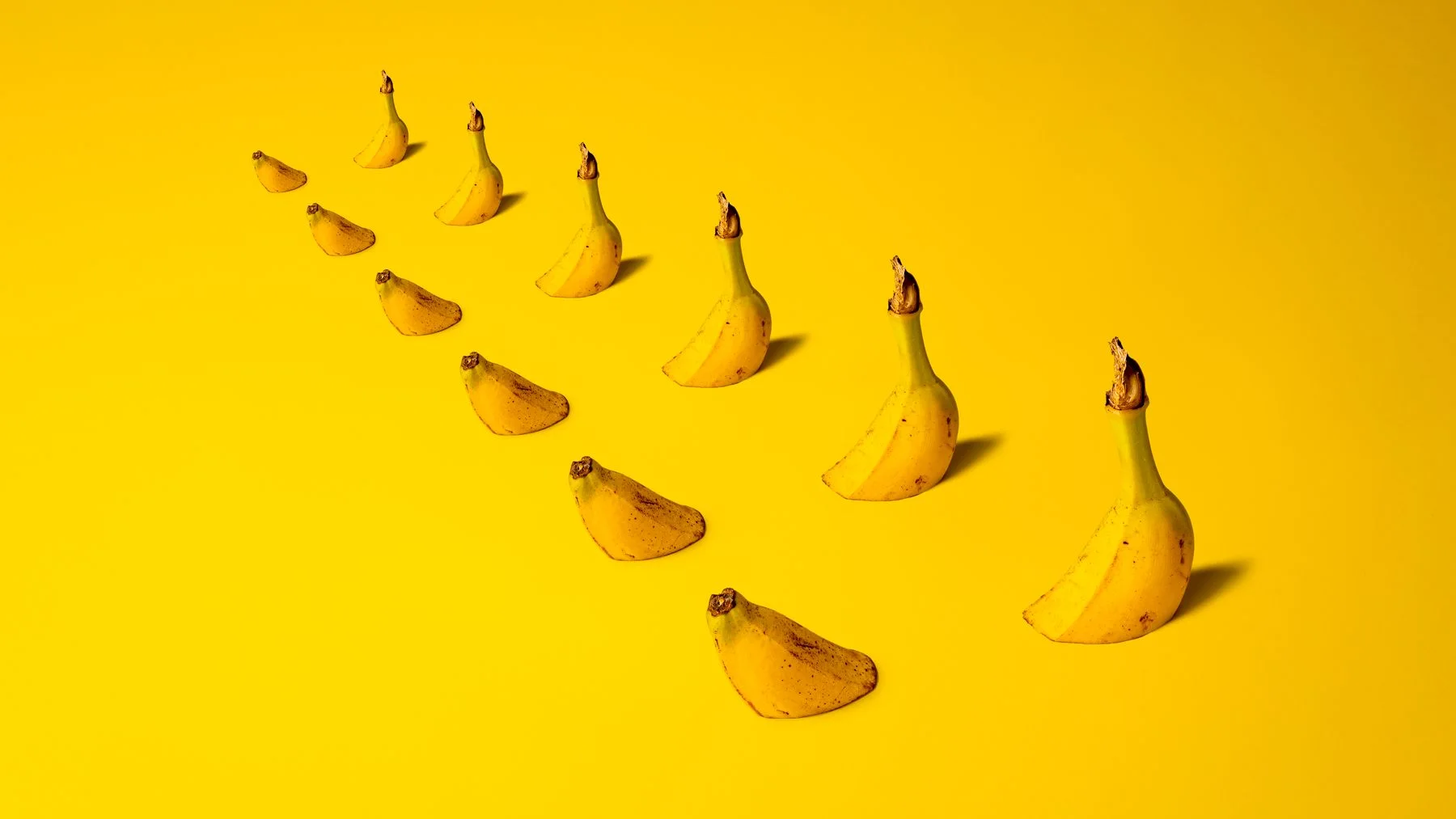 Plasterki banana ułożone na żółtym tle.